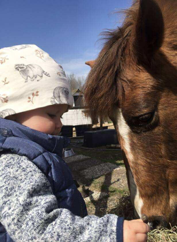 Familjedag på Tångaviksgården